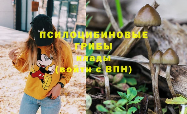 кокаин Новокубанск