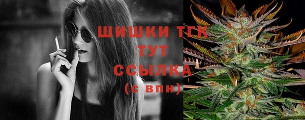 2c-b Новодвинск
