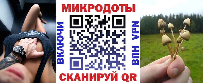 Псилоцибиновые грибы GOLDEN TEACHER  где найти наркотики  Котельнич 